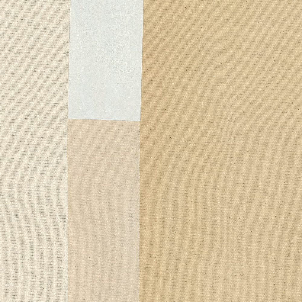 
                      
                        Mies 2 - Limitierte Auflage 
                      
                    